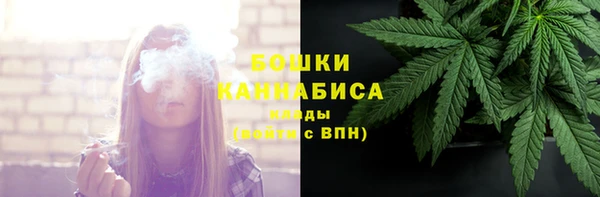 винт Ладушкин
