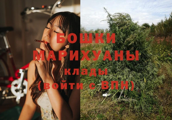 прущий лед Лагань