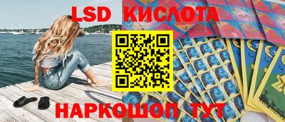 прущие грибы Ирбит