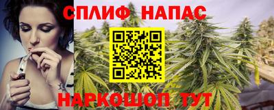 прущие грибы Ирбит