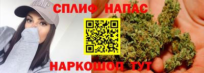 прущие грибы Ирбит