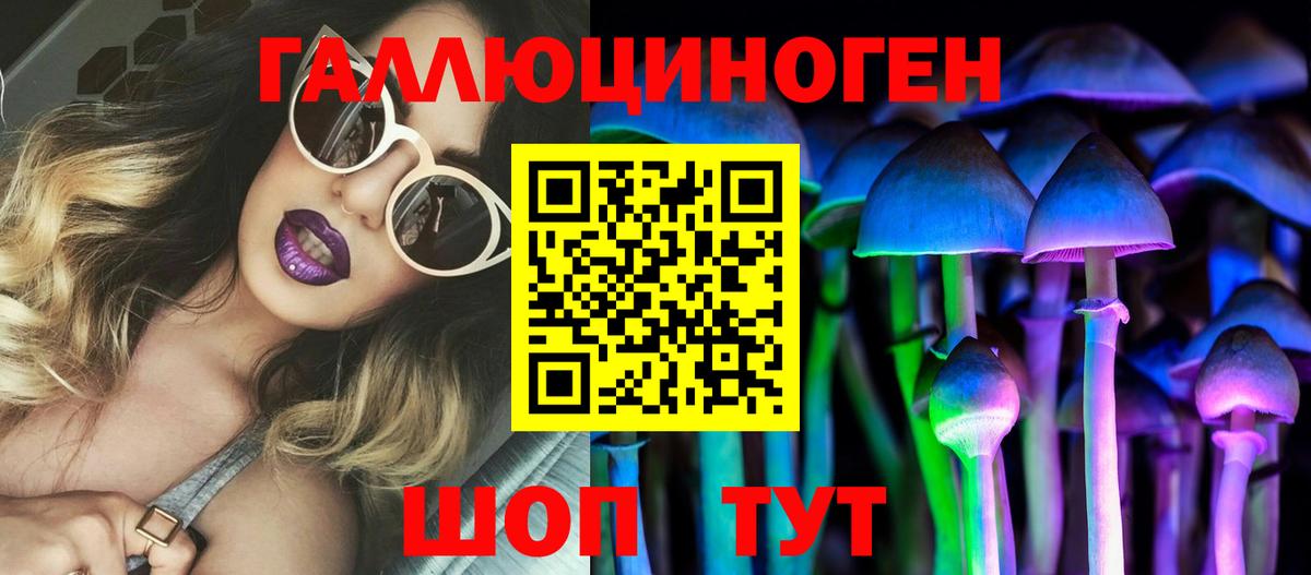 Галлюциногенные грибы Psilocybe  Шатура 