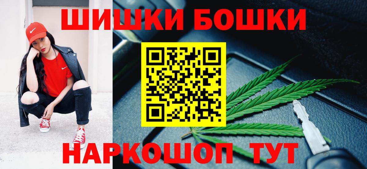 Конопля сатива Шатура
